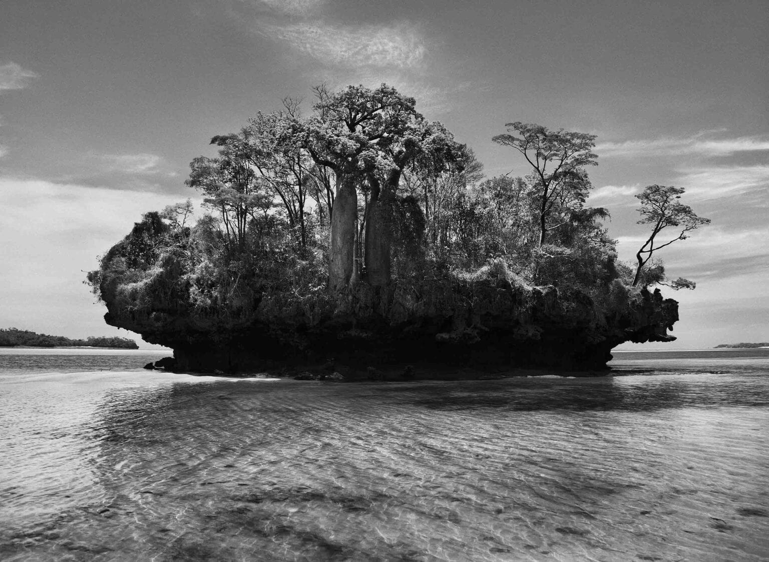 Sebastião Salgado Prints For Sale | SOL . LDN