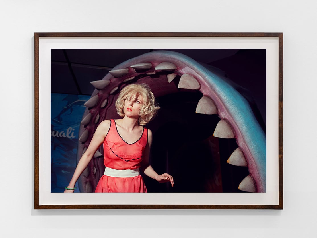 Kourtney Roy: 'Jaws, Last Paradise'