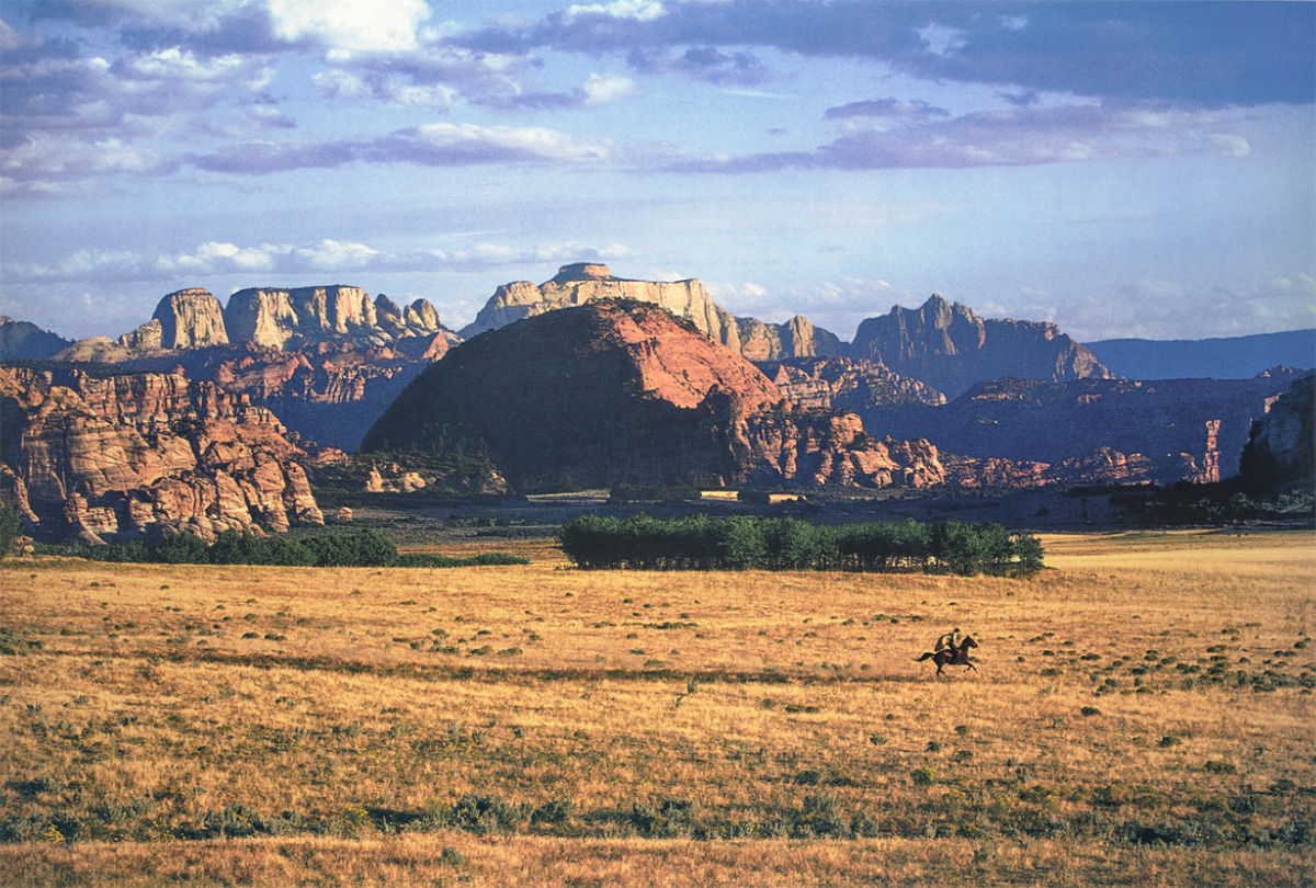 Richard Price, 'Untitled, Cowboy 1999'