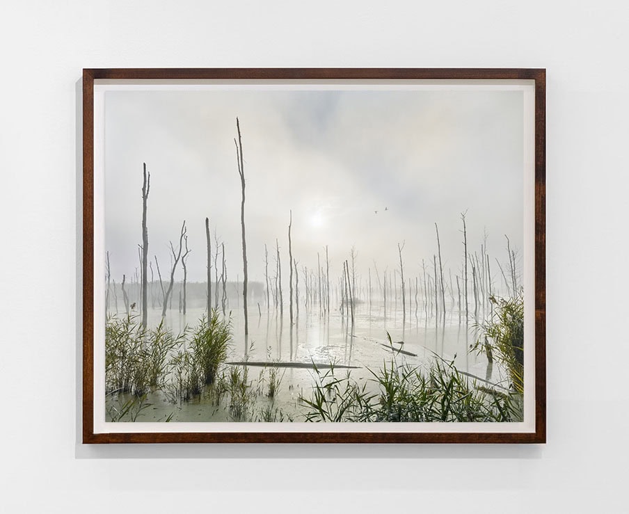 Andrew Moore, 'Low Country Fog 2015'