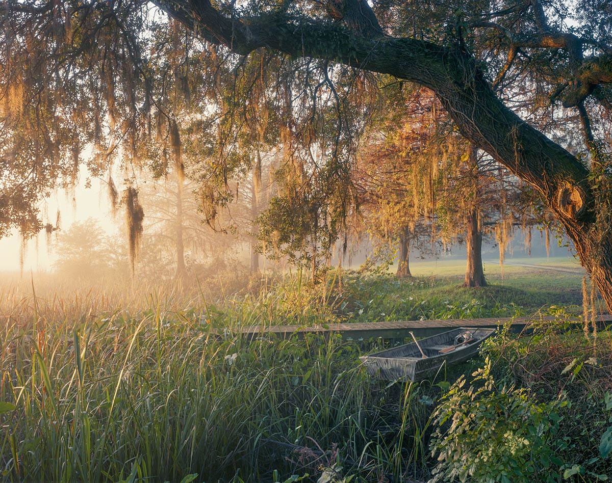 Andrew Moore, 'Low Country Fog'