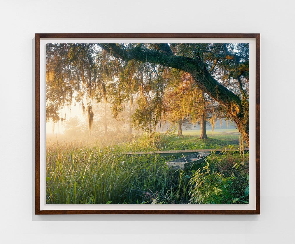 Andrew Moore, 'Low Country Fog'