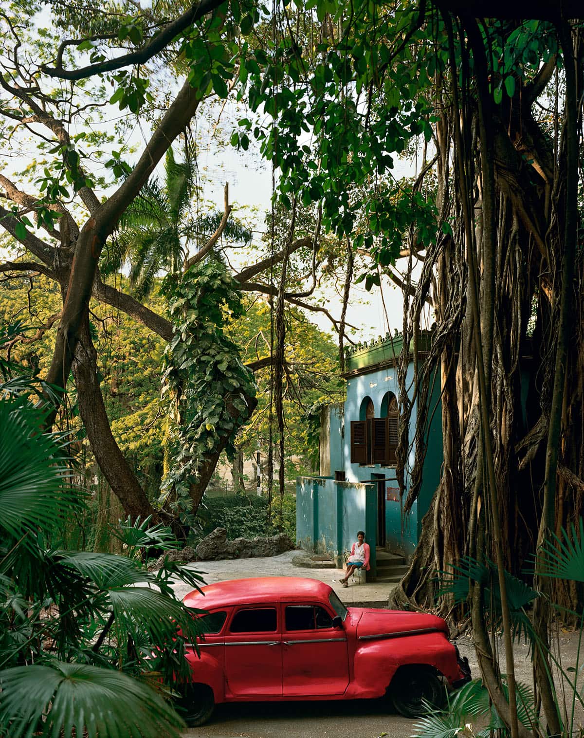 Andrew Moore, 'Rosa en la Tropical, Cuba'